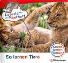 Nicole Brandau, Stefanie Drecktrah, Achim Schulte - Lesestart mit Eberhart - Lesestufe 3 - Sonderheft: Lesestart mit Eberhart - Sonderheft: So lernen Tiere