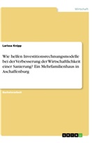 Larissa Knipp - Wie helfen Investitionsrechnungsmodelle bei der Verbesserung der Wirtschaftlichkeit einer Sanierung? Ein Mehrfamilienhaus in Aschaffenburg