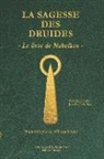 Gwenaël D'Echebrune - La sagesse des druides: Le livre de Nabelkos