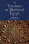Miriam Frenkel - The Jews in Medieval Egypt