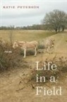 Katie Peterson, Young Suh, Young Suh - Life in a Field – Poems