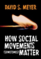 David S Meyer, David S. Meyer, Ds Meyer - How Social Movements (Sometimes) Matter