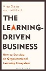 Alaa Garad, Alaa Gold Garad, Jeff Gold, Gold Jeff - The Learning-Driven Business