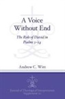 Andrew C Witt, Andrew C. Witt, Andrew Carl Witt - Voice Without End