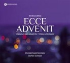 Winfried Offele - Ecce Advenit, 2 Audio-CD (Hörbuch)