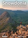 Mark Reeves - Snowdonia