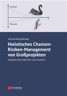 Konrad Bergmeister, Konrad (Prof.) Bergmeister, Konrad (Wien) Bergmeister - Holistisches Chancen-Risiken-Management Von Grossprojekten