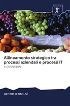 Heitor Sento-Sé - Allineamento strategico tra processi aziendali e processi IT