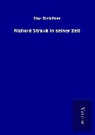 Max Steinitzer - Richard Strauß in seiner Zeit