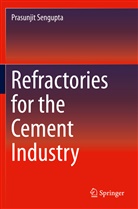 Prasunjit Sengupta - Refractories for the Cement Industry