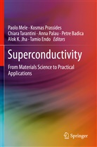 Petre Badica, Tamio Endo, Alok K. Jha, Paolo Mele, Anna Palau, Kosma Prassides... - Superconductivity