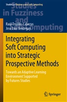 Raú Trujillo-Cabezas, Raúl Trujillo-Cabezas, José Luis Verdegay - Integrating Soft Computing into Strategic Prospective Methods