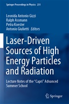 Ralp Assmann, Ralph Assmann, Antonio Giulietti, Leonida Antonio Gizzi, Petra Koester, Petra Koester et al - Laser-Driven Sources of High Energy Particles and Radiation