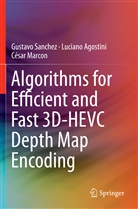 Lucian Agostini, Luciano Agostini, César Marcon, Gustav Sanchez, Gustavo Sanchez - Algorithms for Efficient and Fast 3D-HEVC Depth Map Encoding