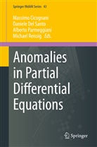 Massimo Cicognani, Daniel Del Santo, Daniele Del Santo, Alberto Parmeggiani, Alberto Parmeggiani et al, Michael Reissig - Anomalies in Partial Differential Equations