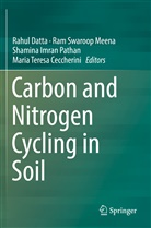 Maria Teresa Ceccherini, Rahul Datta, Shamina Imran Pathan et al, Ram Swaroop Meena, Shamina Imran Pathan, Ra Swaroop Meena... - Carbon and Nitrogen Cycling in Soil