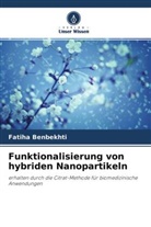 Fatiha Benbekhti - Funktionalisierung von hybriden Nanopartikeln