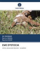 Al Dahmani, Ali Dahmani, Rachid Kaidi, Kari RAHAL, Karim RAHAL - EWE DYSTOCIA
