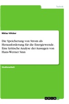Niklas Völcker - Die Speicherung von Strom als Herausforderung für die Energiewende. Eine kritische Analyse der Aussagen von Hans-Werner Sinn