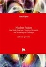 Igor Girka - Nuclear Fusion