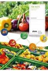Daniela Ebnöther - Food Waste
