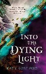 Katy Rose Pool - Into the Dying Light