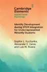 Alexander E Gates, Alexander E. Gates, Gates Alexander E., Sophie L Kuchynka, Sophie L. Kuchynka, Sophie L. (Rutgers University Kuchynka... - Identity Development During Stem Integration for Underrepresented