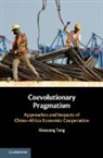 Xiaoyang Tang, Xiaoyang (Tsinghua University Tang, Tang Xiaoyang - Coevolutionary Pragmatism