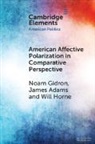 James Adams, Noam Gidron, Noam (Hebrew University of Jerusalem) Adam Gidron, Will Horne - American Affective Polarization in Comparative Perspective