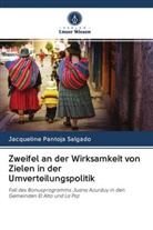 Jacqueline Pantoja Salgado - Zweifel an der Wirksamkeit von Zielen in der Umverteilungspolitik