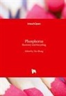 Tao Zhang - Phosphorus