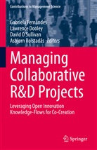 Lawrenc Dooley, Lawrence Dooley, Gabriela Fernandes, David O'Sullivan, David O'Sullivan et al, Asbjørn Rolstadås - Managing Collaborative R&D Projects