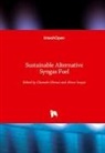 Chaouki Ghenai, Abrar Inayat - Sustainable Alternative Syngas Fuel