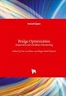 Magd Abdel Wahab, Yun Lai Zhou - Bridge Optimization
