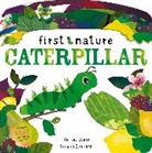 Harriet Evans - Caterpillar