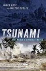 Walter Dudley, Walter (Professor Emeritus of Marine Geology and Oceanography Dudley, James Goff, James (Honorary Professor Goff, James (Honorary Professor of Tsunami Researc Goff, James (Honorary Professor of Tsunami Research Goff... - Tsunami