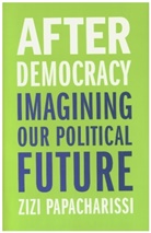 Zizi Papacharissi, Papacharissi Zizi - After Democracy