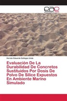 Hernán Eduardo Gallegos Unda - Evaluación De La Durabilidad De Concretos Sustituidos Por Dosis De Polvo De Sílice Expuestos En Ambiente Marino Simulado
