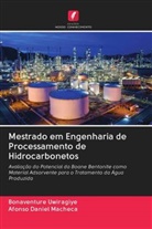 Afonso Daniel Macheca, Bonaventure Uwiragiye - Mestrado em Engenharia de Processamento de Hidrocarbonetos