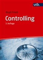 Birgit Friedl - Controlling