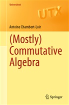 Antoine Chambert-Loir - (Mostly) Commutative Algebra