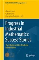 Manuel Cruz, Carlo Parés, Carlos Parés, Peregrina Quintela - Progress in Industrial Mathematics: Success Stories