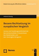 Antonia Schurig - Bessere Rechtsetzung im europäischen Vergleich