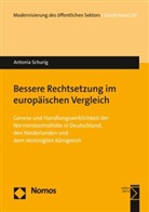 Antonia Schurig - Bessere Rechtsetzung im europäischen Vergleich