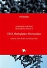 Miroslav Blumenberg, Metin Budak, Mustafa Yildiz - DNA Methylation Mechanism