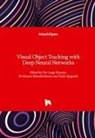 Pier Luigi Mazzeo, Srinivasan Ramakrishnan, Paolo Spagnolo - Visual Object Tracking with Deep Neural Networks