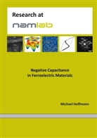 Michael Hoffmann - Negative Capacitance in Ferroelectric Materials