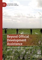 Lu Jiang - Beyond Official Development Assistance