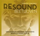 Ludwig van Beethoven - Resound Beethoven (Audio book)