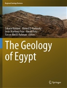 Yasser Abd El-Rahman, Ahme El-Barkooky, Ahmed El-Barkooky, Harald Fritz, Zakaria Hamimi, Jesús Martínez Frías... - The Geology of Egypt